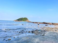 -盐洲岛