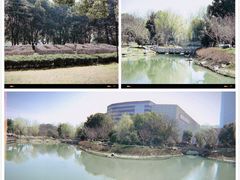 -玉山公园