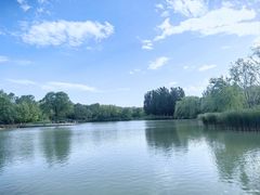 -海淀公园