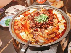 -师烤·豆花烤鱼(广州荔湾扬韬广场店)