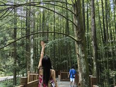 -山王坪喀斯特国家生态公园