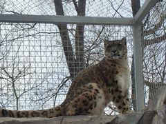 -青藏高原野生动物园