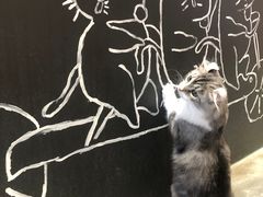 -瞄一喵猫咖(格力海岸店)