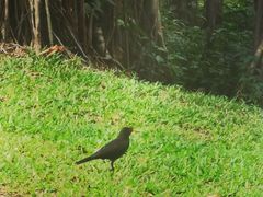 -人民公园(罗湖区)