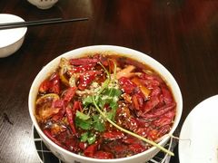 -熊猫川菜馆 panda chine