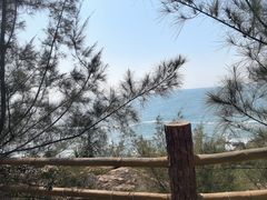 -广东惠东海龟国家级自然保护区
