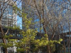 -微软亚太研发集团大厦(微软总部)