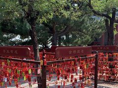 -香山公园
