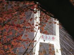 -南浦大桥长途旅游客运站