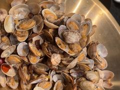 -浩运海鲜·16年专注青岛菜(石老人店)