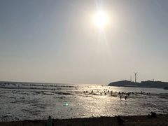 -仙人岛