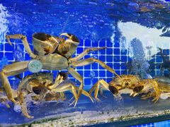 -军山湖云水间生态农业旅游景区