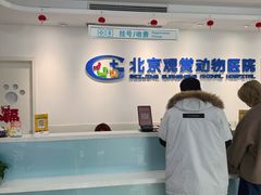 -北京观赏动物医院·24小时大型综合·猫专科·异宠专科