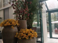 -金海湾自助餐厅(金陵饭店)