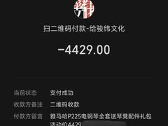 -雅马哈乐器专卖店(广州旗舰店)