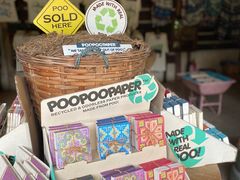 -大象粑粑造纸公园