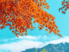 -杭州上天竺法喜讲寺