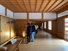 -名古屋城