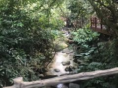 -七仙岭君澜度假酒店·桃源小馆中餐厅