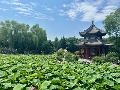-莲池书院博物馆