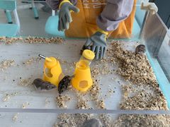 -怪兽屋·羊驼·猫咖·狗咖(俊华广场店)