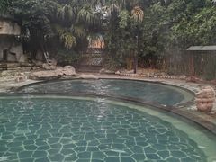 -雅安楠水阁温泉酒店