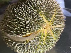 -101花果山山芭榴莲(史密斯街店)