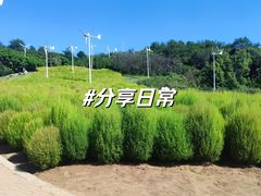 -沈阳植物园