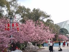 -南山植物园