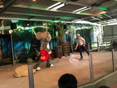 -可伦宾野生动物保护区