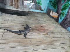 -石家庄市动物园