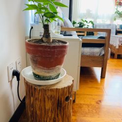 -梵未理疗瑜伽工作室