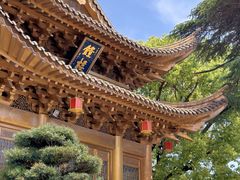 -上海东林寺(金山区)