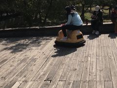 -绿堤公园