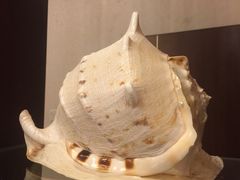 -大天然酒店(军民路店)