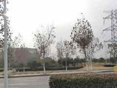 -金科路(地铁站)