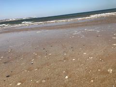 -日照灯塔风景区