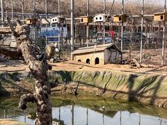-河北村民俗体验园
