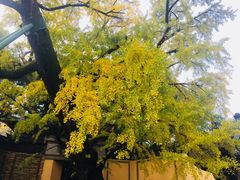-无锡惠山寺