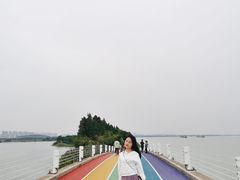-贡湖湾湿地公园
