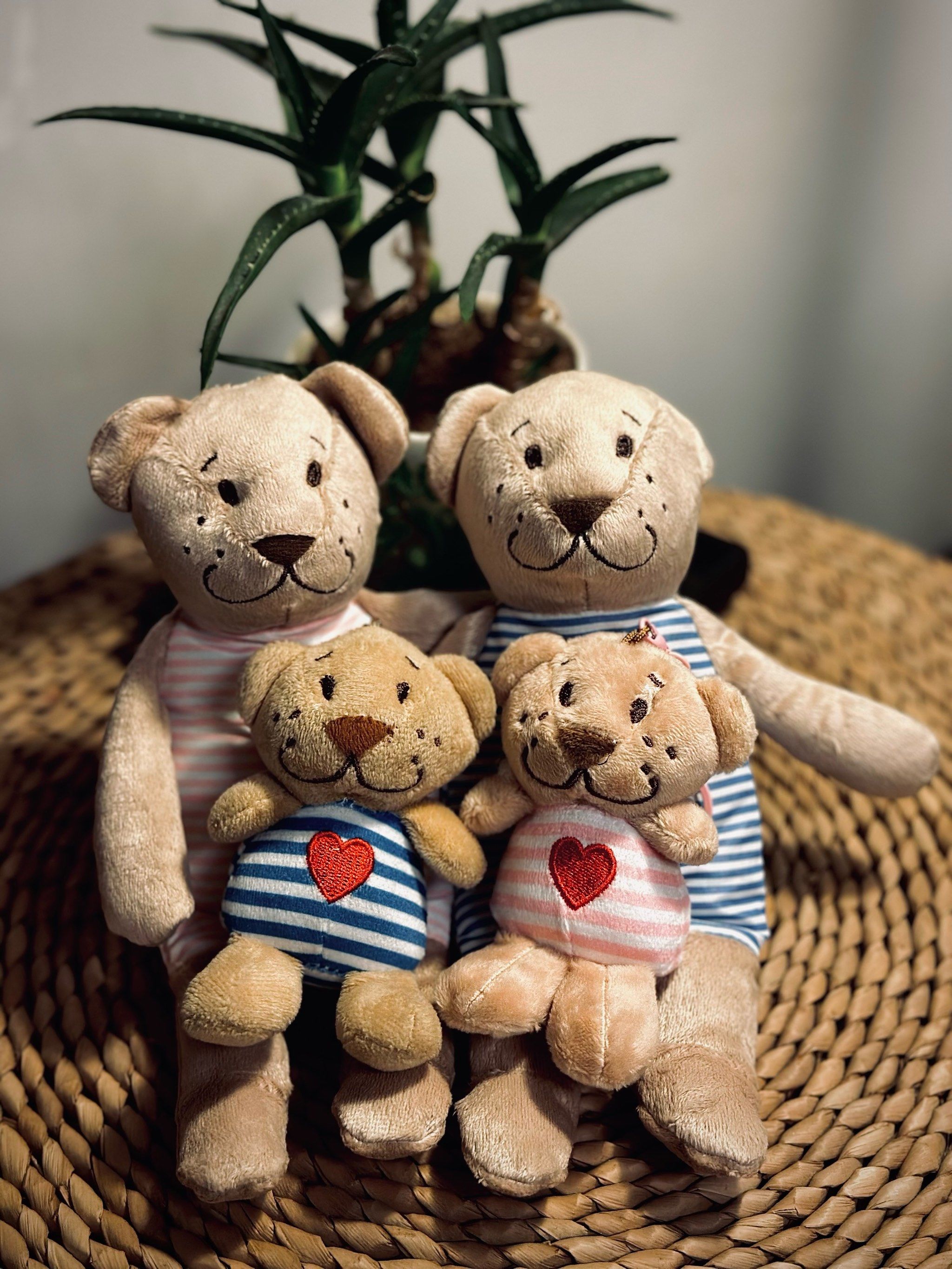 佛山宜家限定熊返场,一家四口🐻齐齐整整