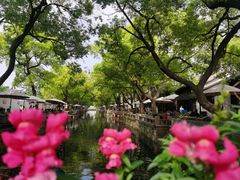 -惠山古镇·寄畅园