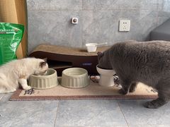 -思琪宠物医院(昆山花桥店)