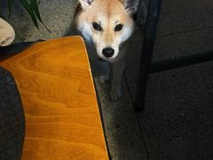 -GOIN CAFE 光阴咖啡馆