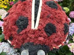 -视博茶点(美狮美高梅店)