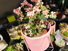 -井水小厨·湘菜(活力广场店)
