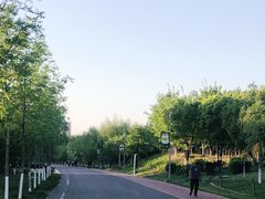 -小绿谷公园