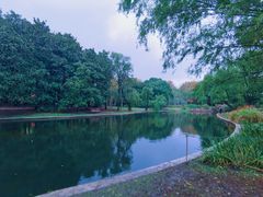 -上海共青森林公园