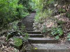 -缙云山景区