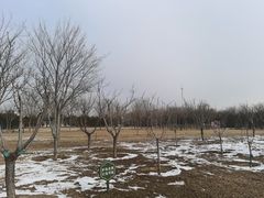 -绿堤公园